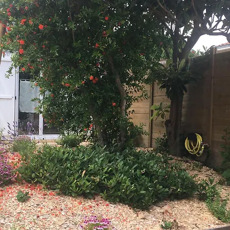 Holiday home Maison Traditionnelle Renovee, Proche Plage, - Terrasse, Wifi, Confort Modern - Fr-1-426-371